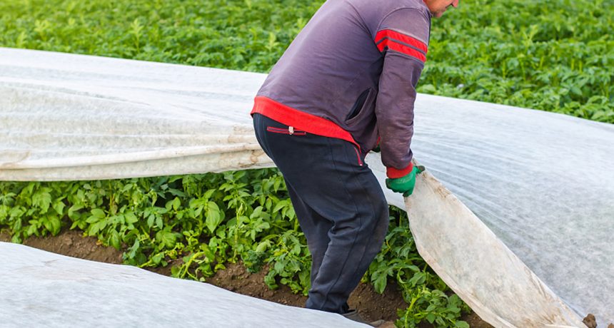 Agricultural Fabrics